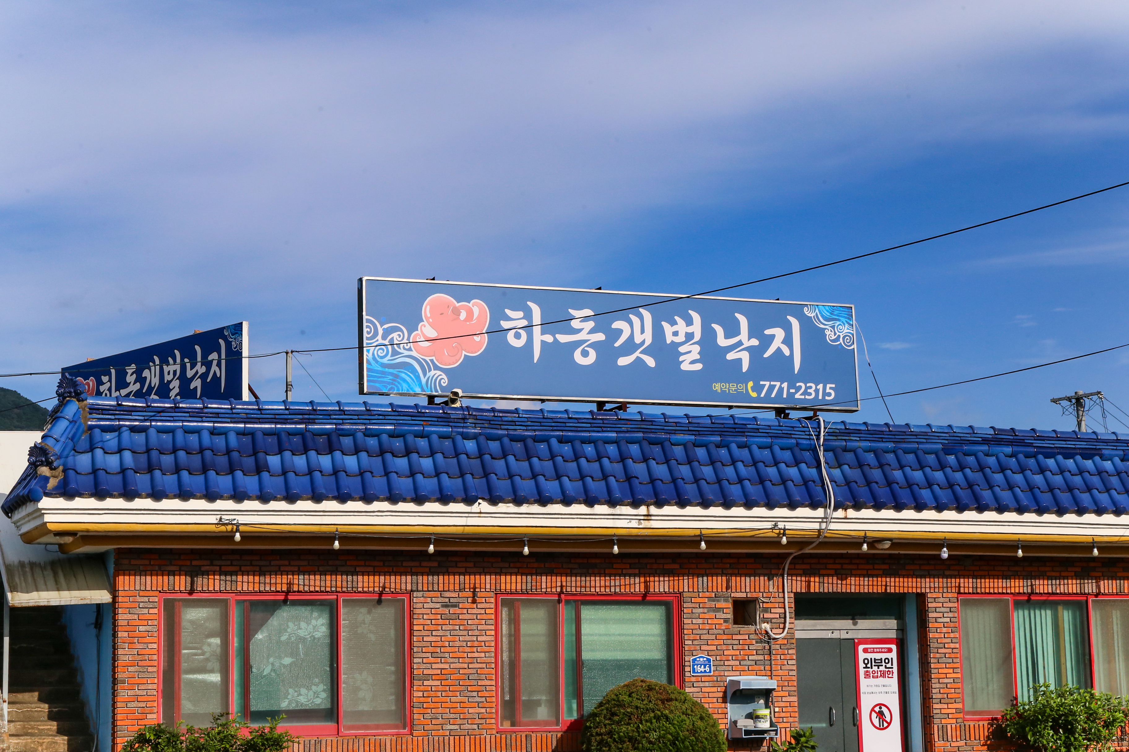 하동갯벌낙지 반려동물 동반 애견카페