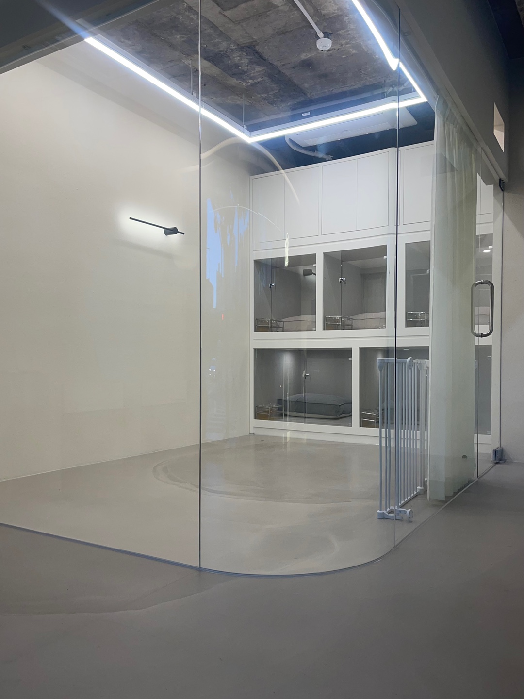 DOGDOG 대표 이미지