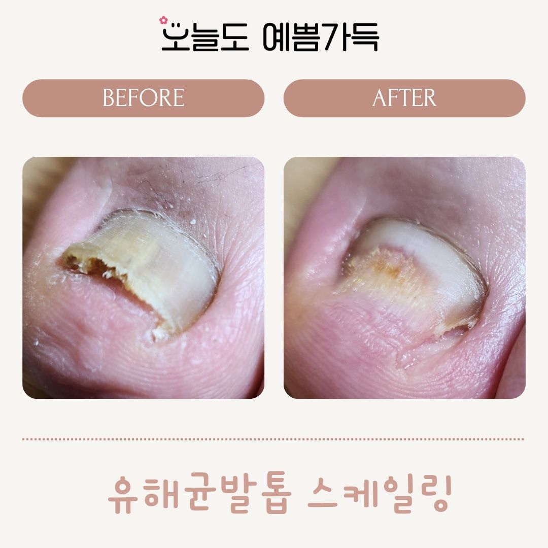 오늘도예쁨가득