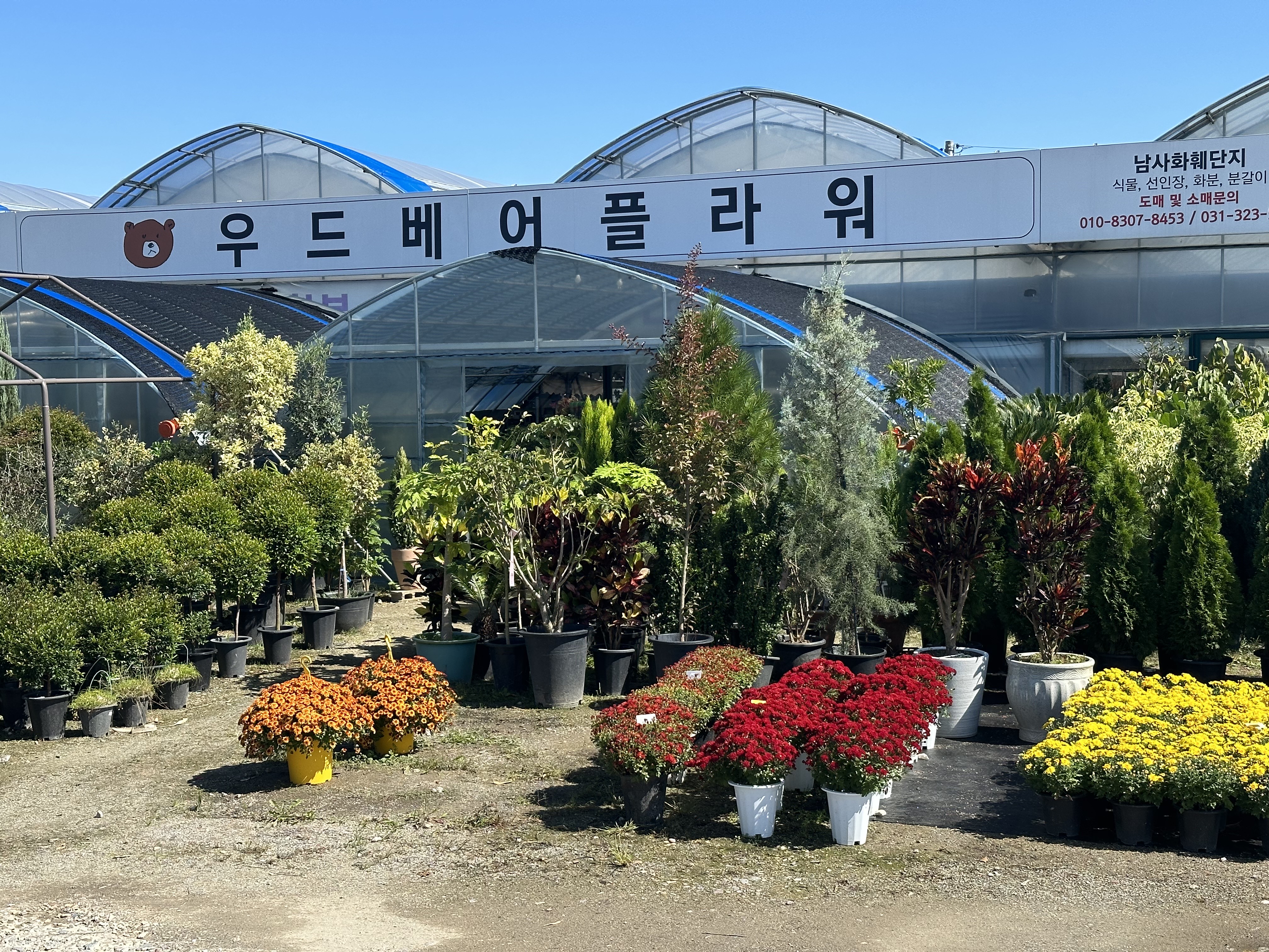 우드베어플라워