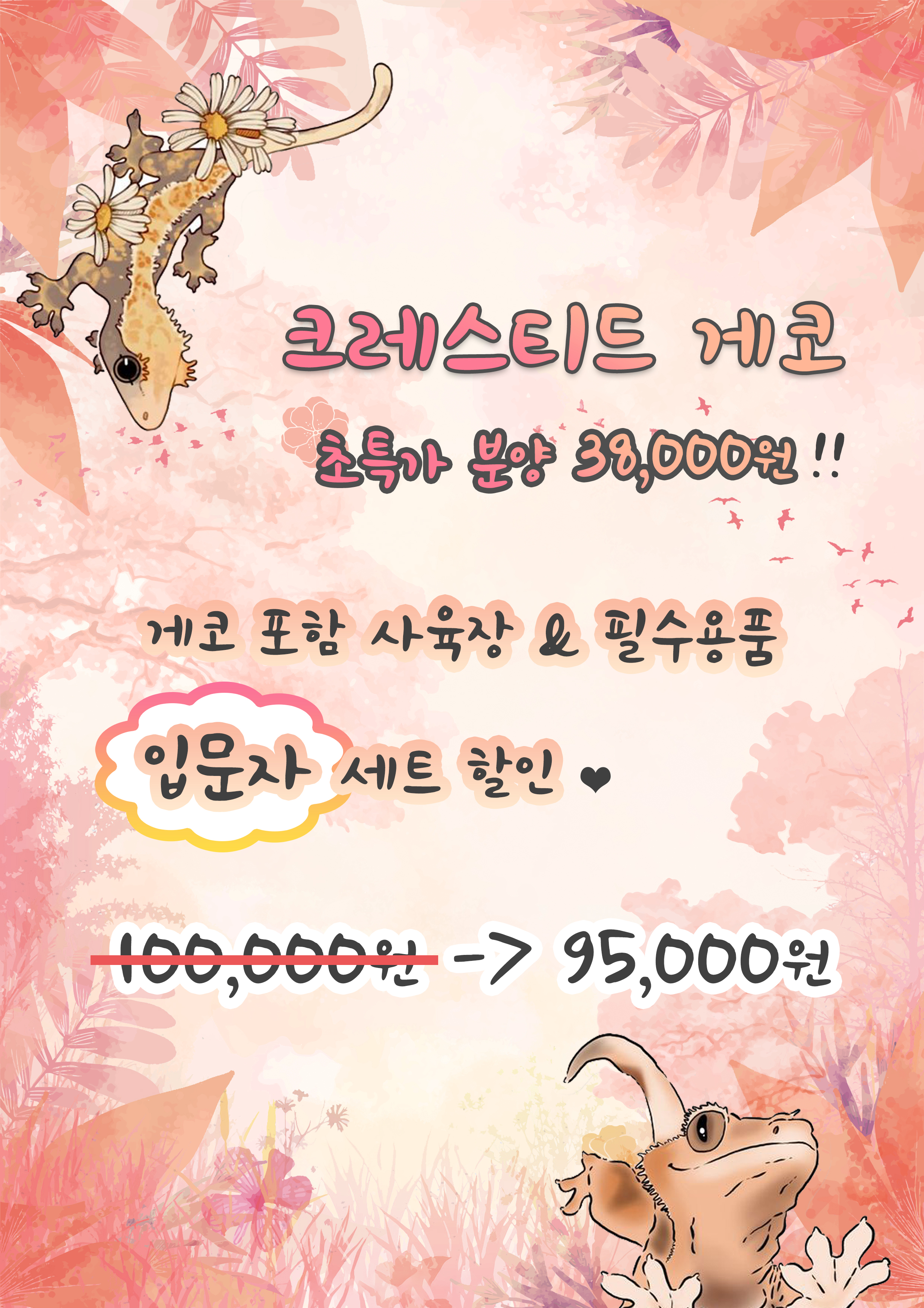 똥꼬냥