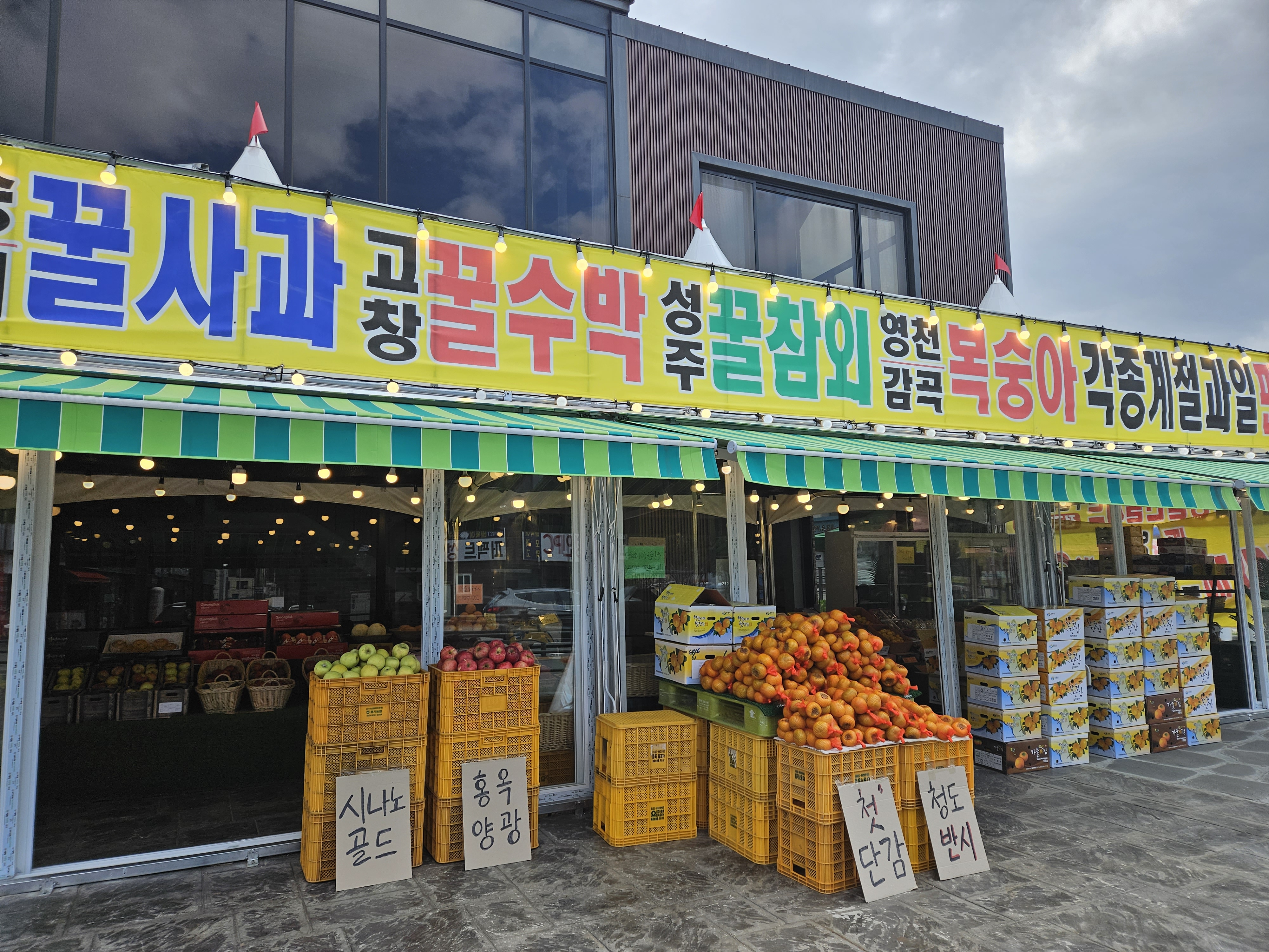 시온청과