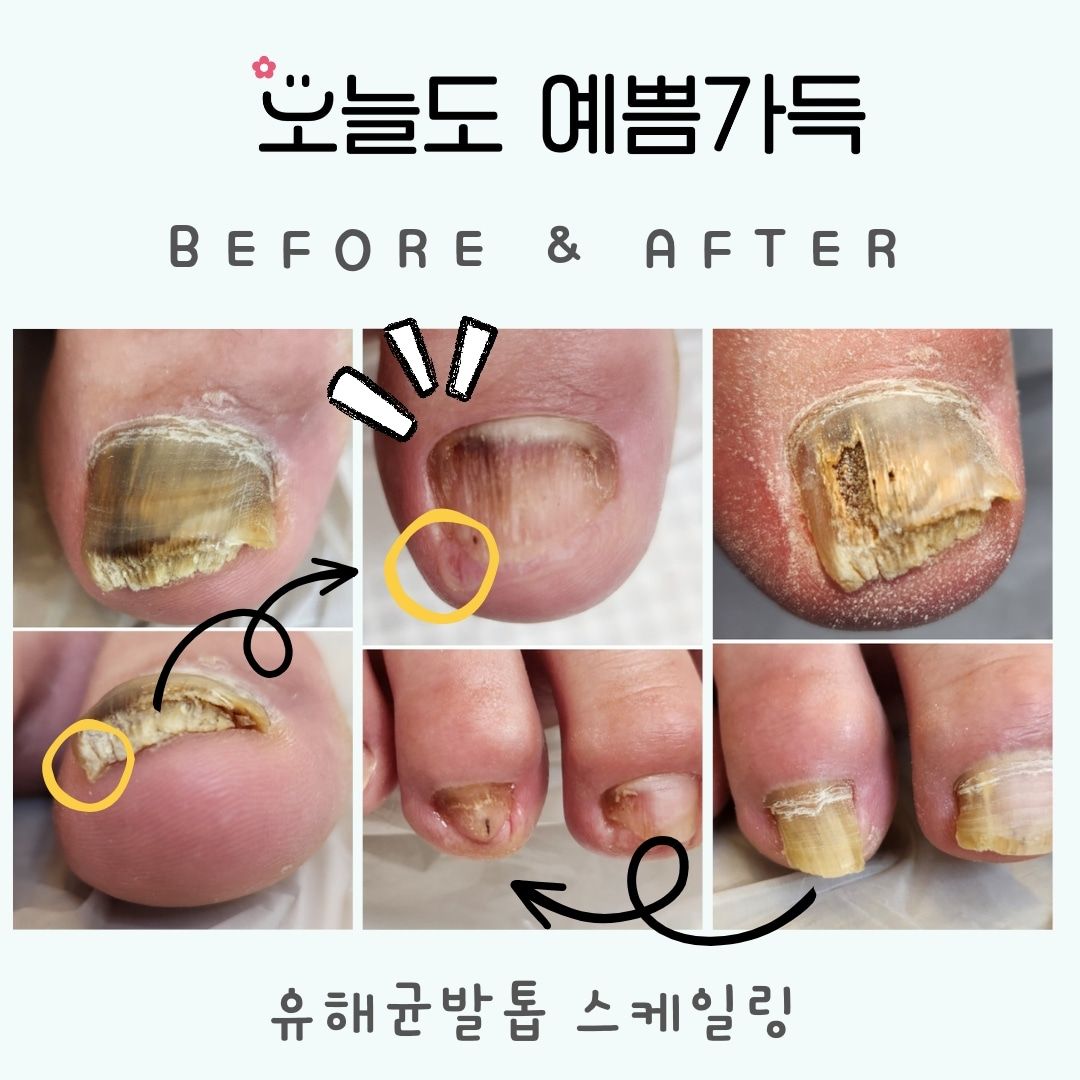 오늘도예쁨가득