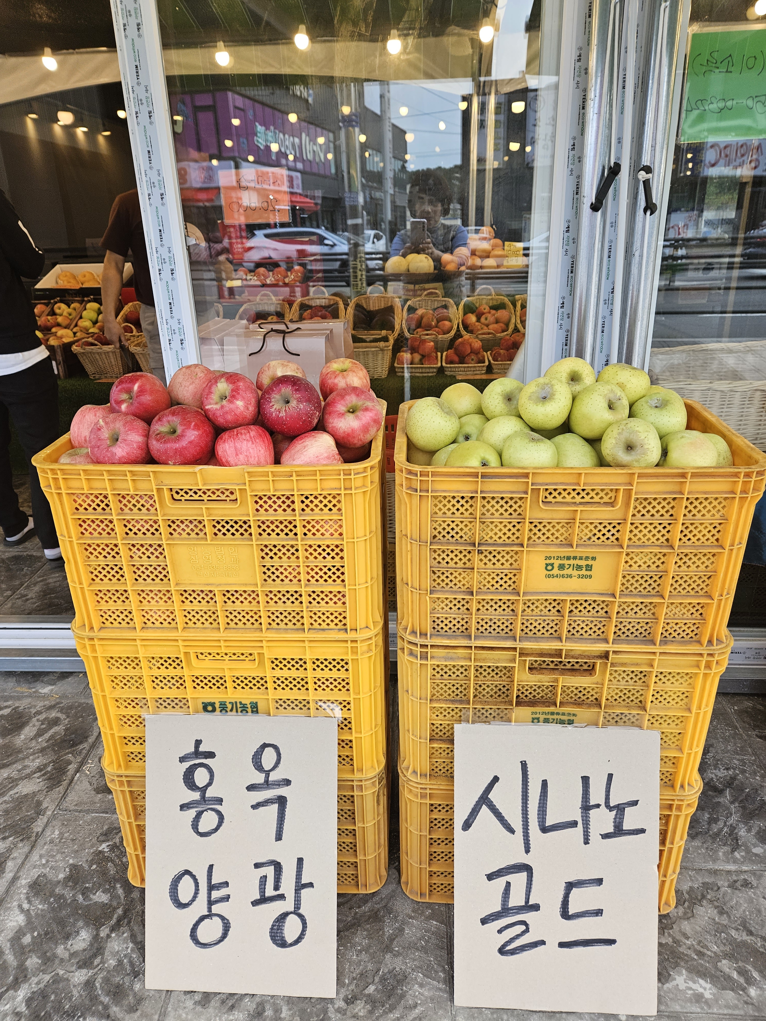 시온청과