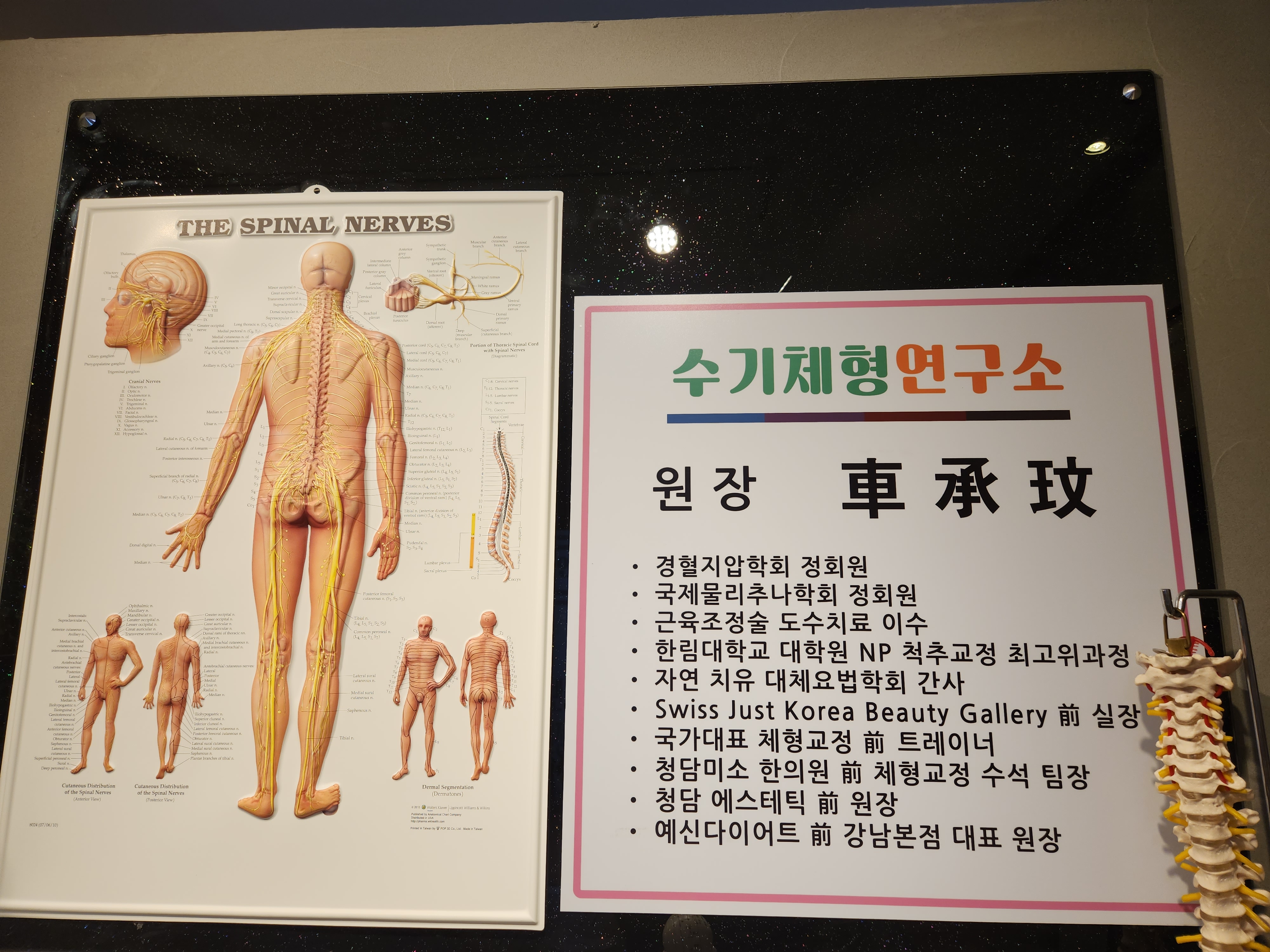 수기 체형 연구소