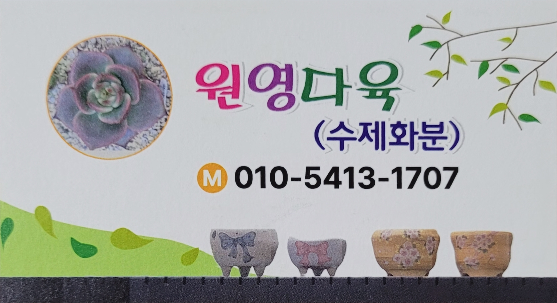 원영다육수제화분