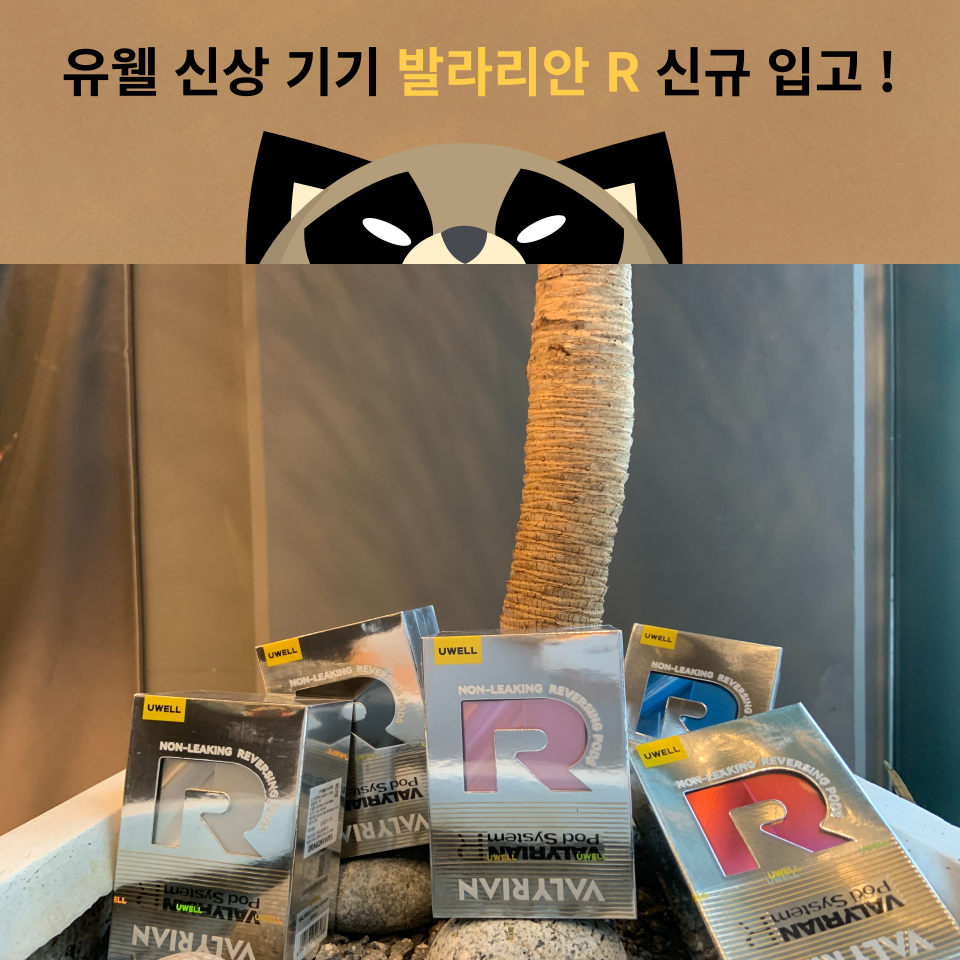 송파 너구리굴 전자담배 문정점