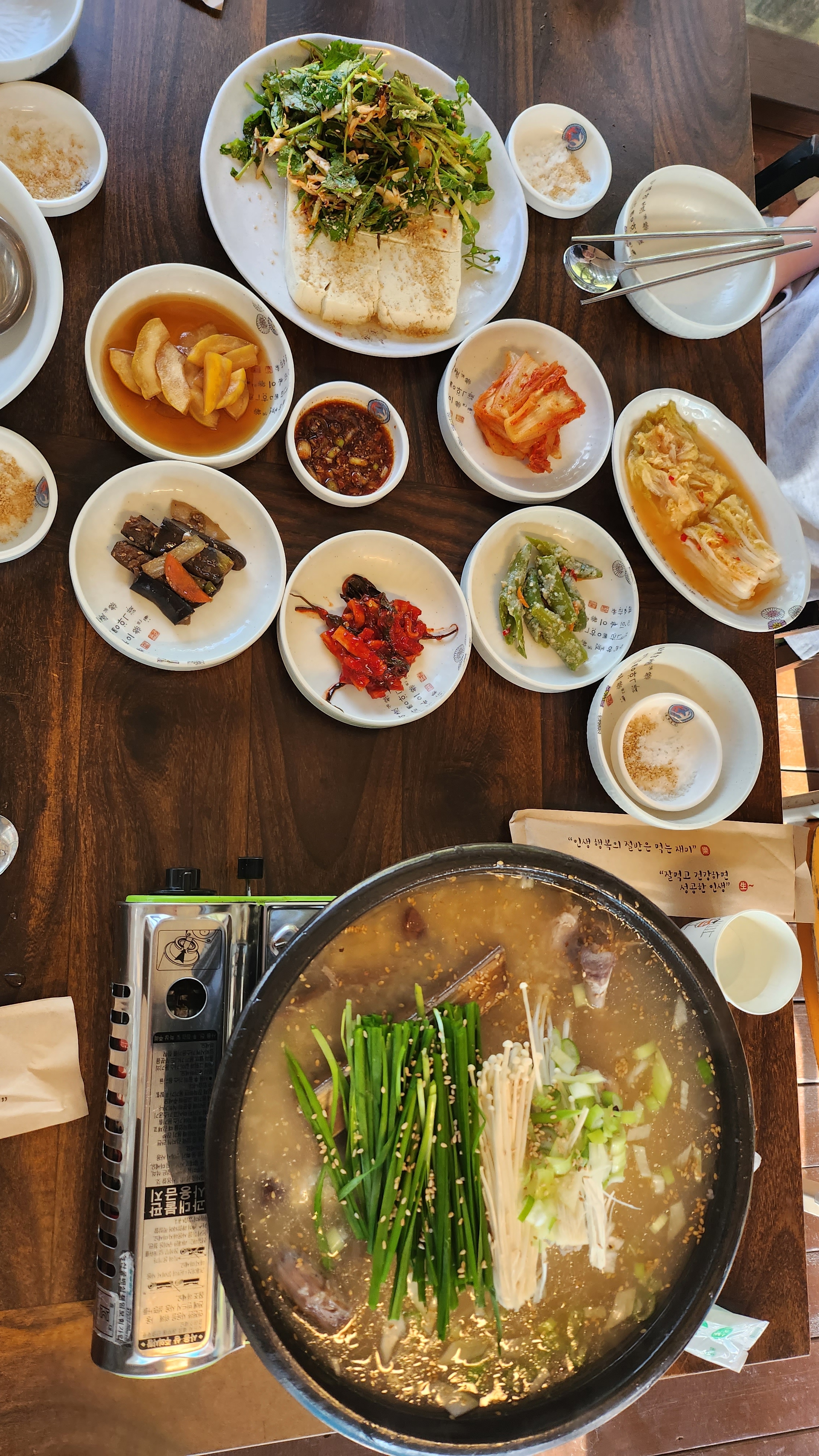 벚꽃집 반려동물 동반 애견카페