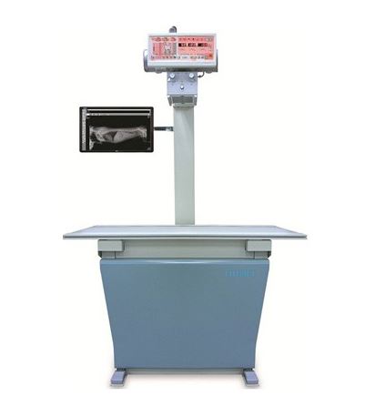 주안동물메디컬센터 대표 이미지