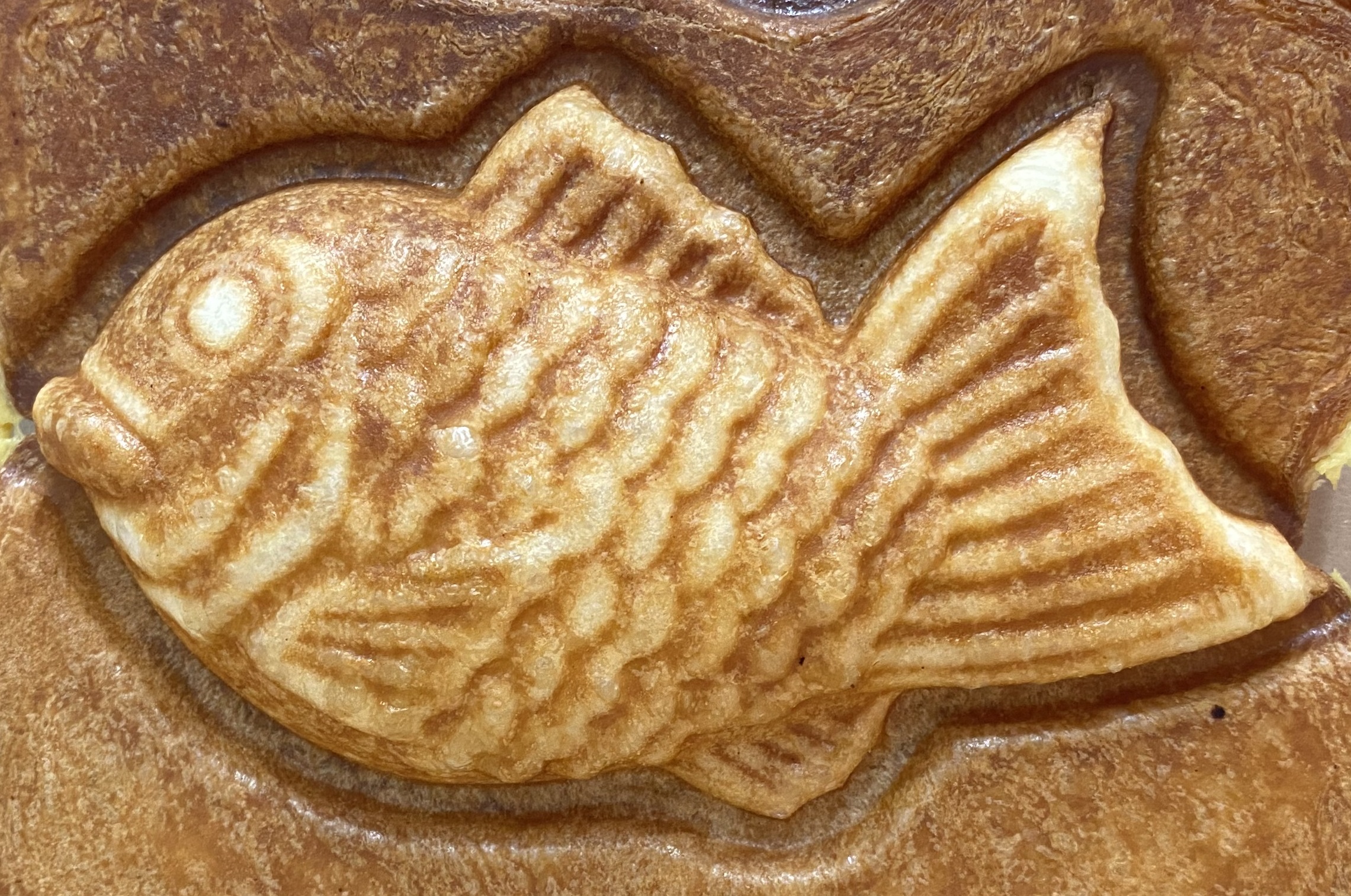 떼구루 효성점