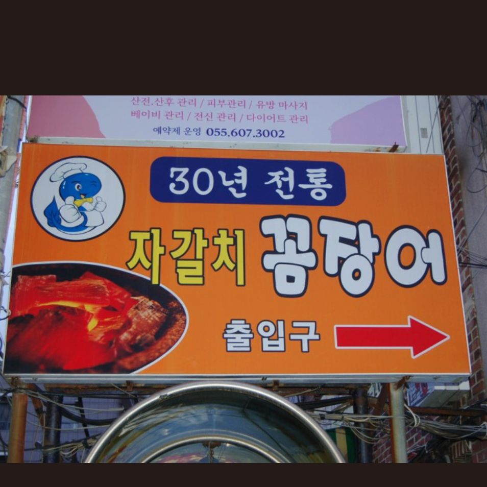 자갈치꼼장어