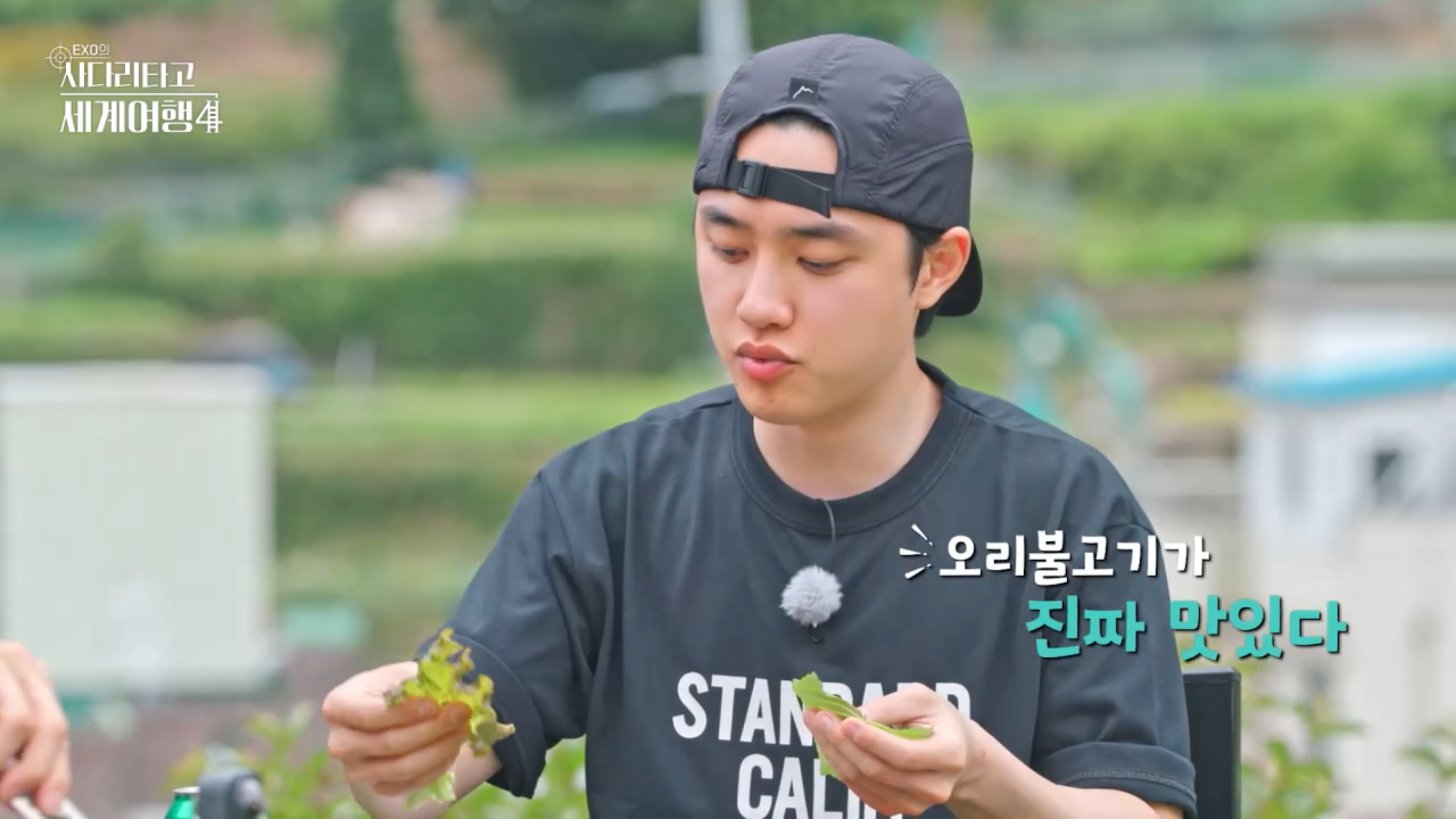 영운스테이가든 경상 애견숙소