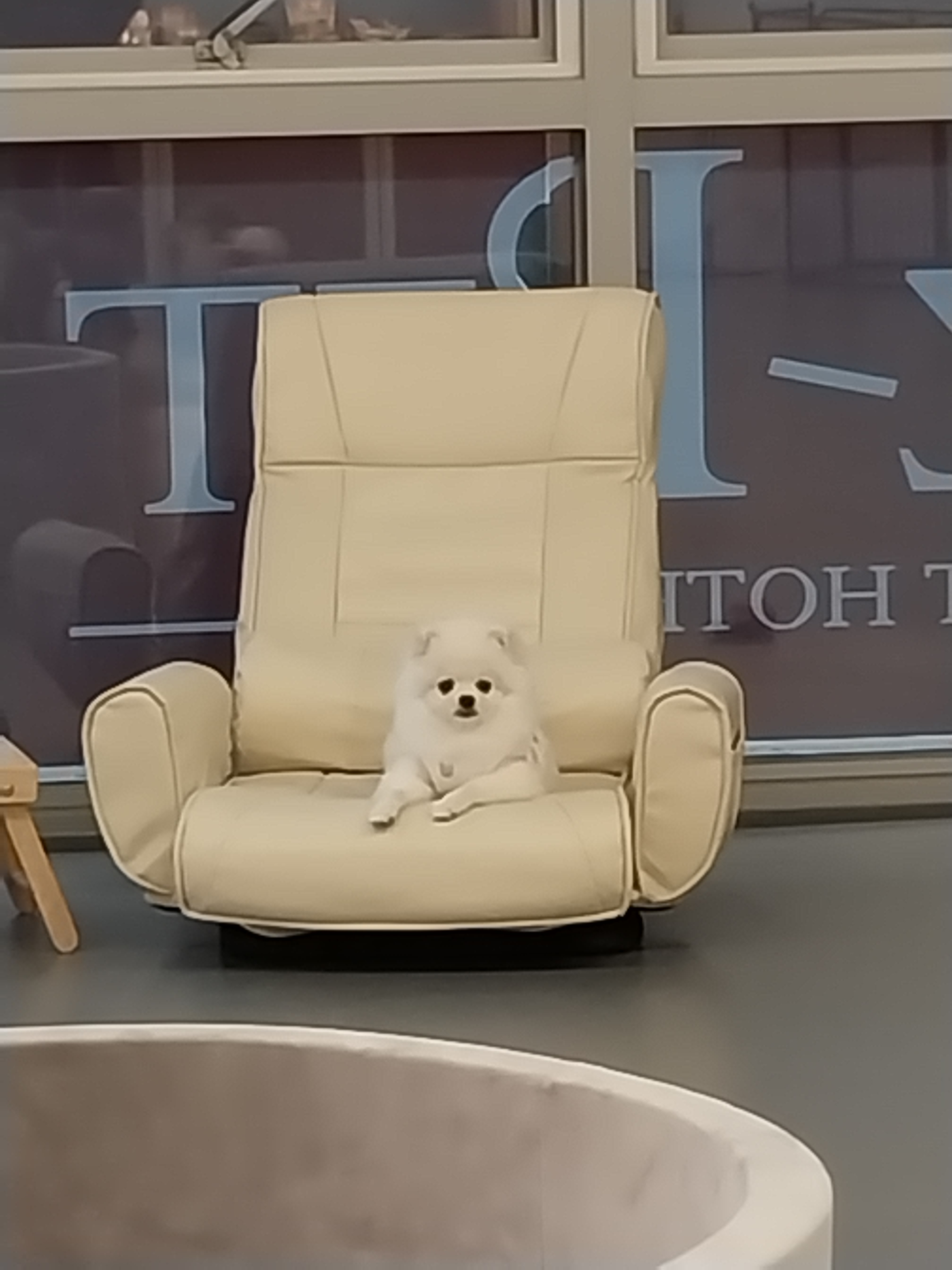 리츠펫 이시아폴리스점 2