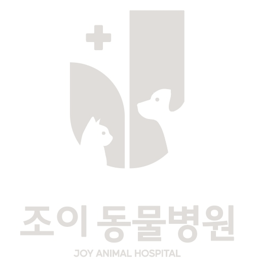 조이동물병원