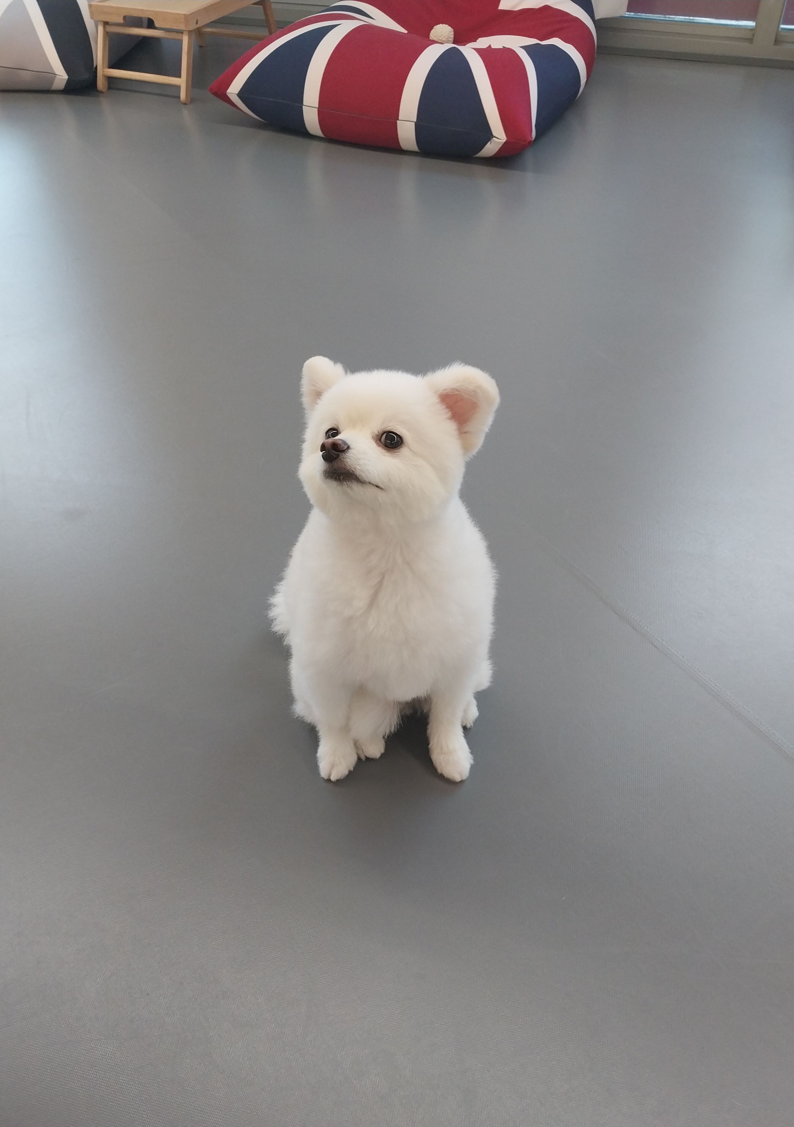 피터팻츠 3