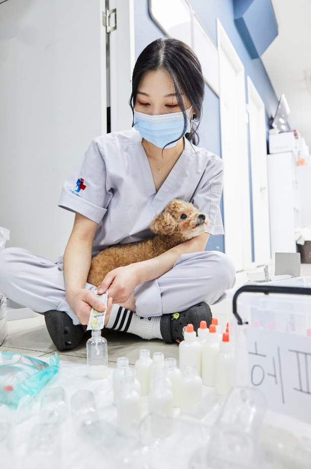 24시 바른펫 동물의료센터 3
