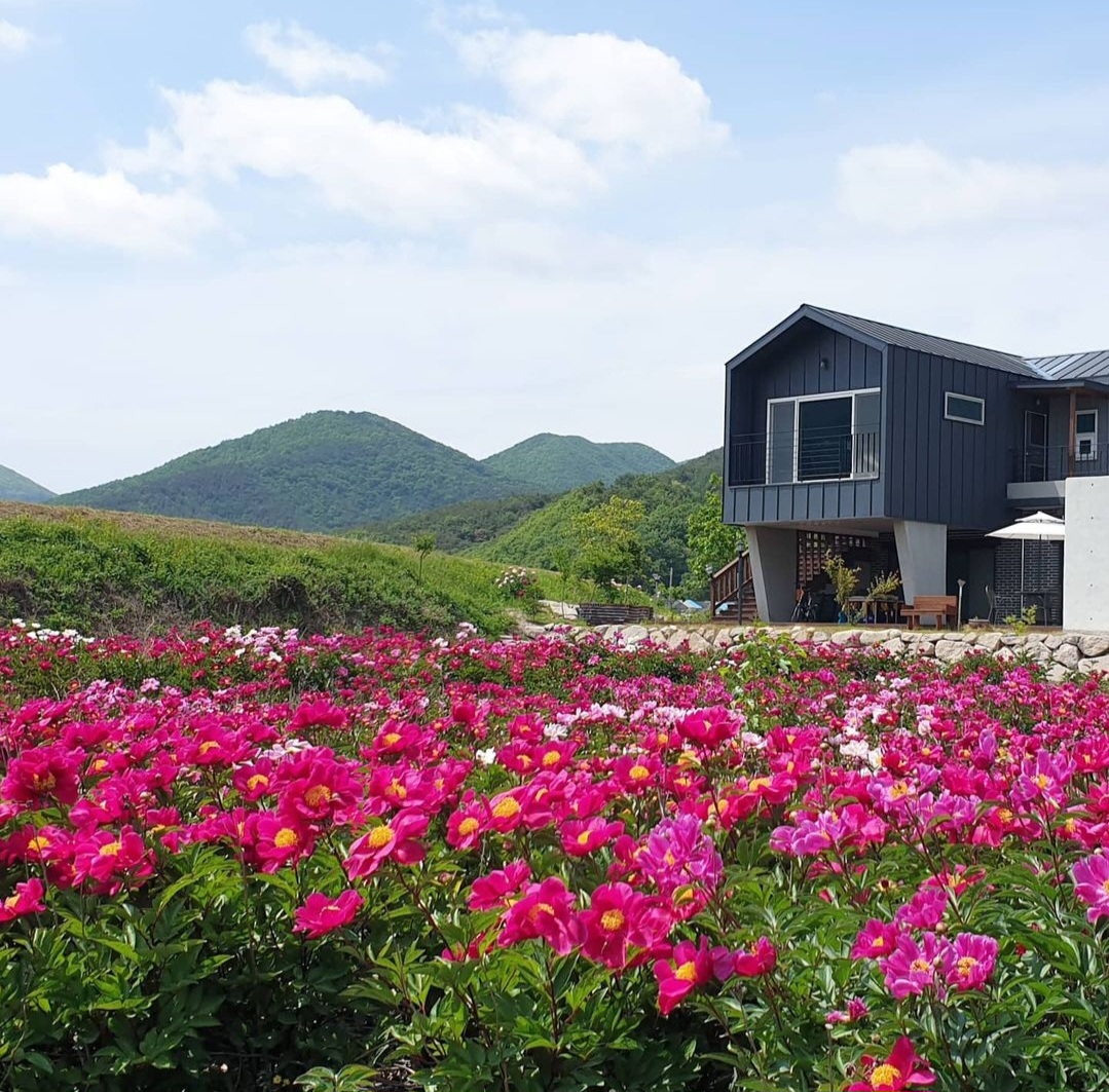 경주 제이제이갤러리카페펜션