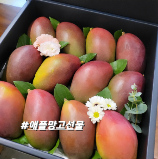 달과일
