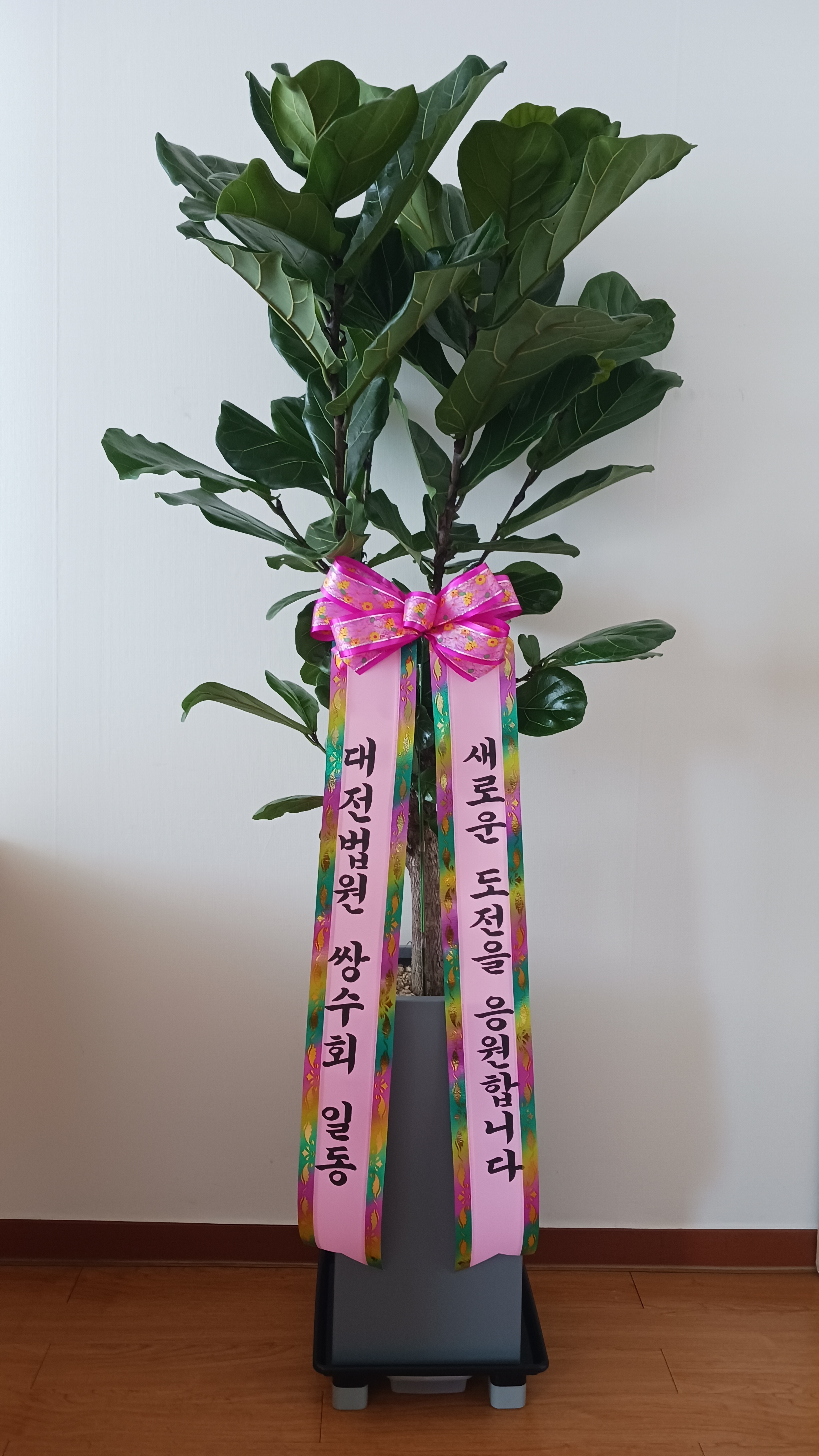 법무사김원식사무소