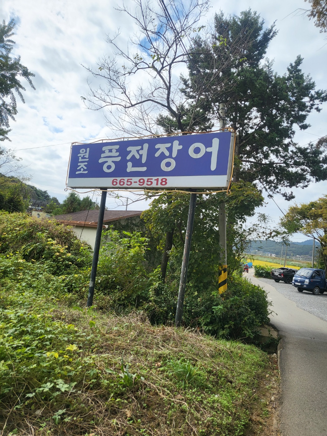 풍전장어어죽