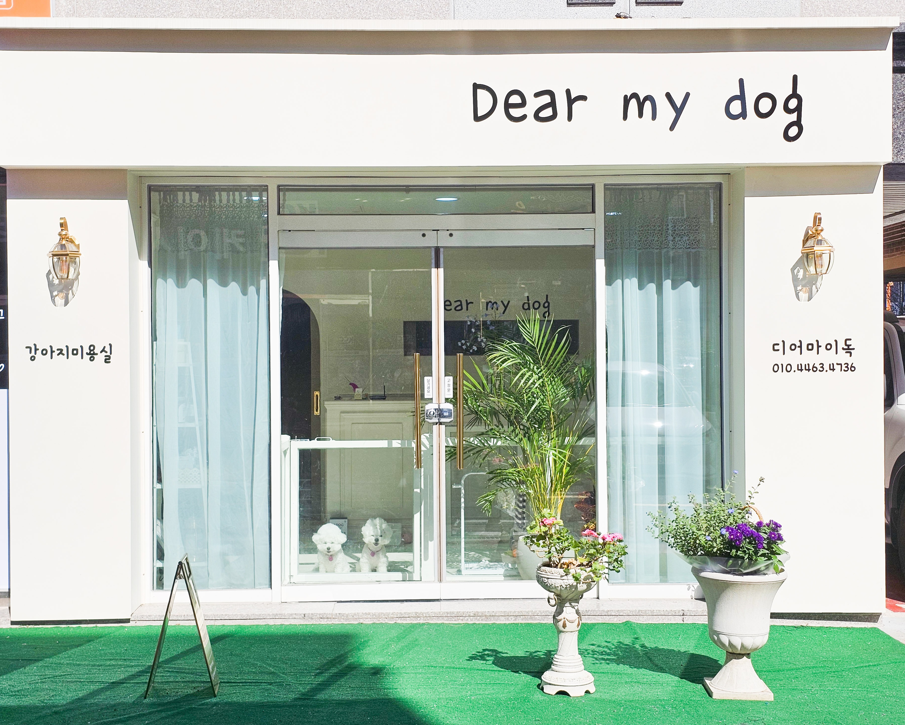 디어마이독 대표 이미지