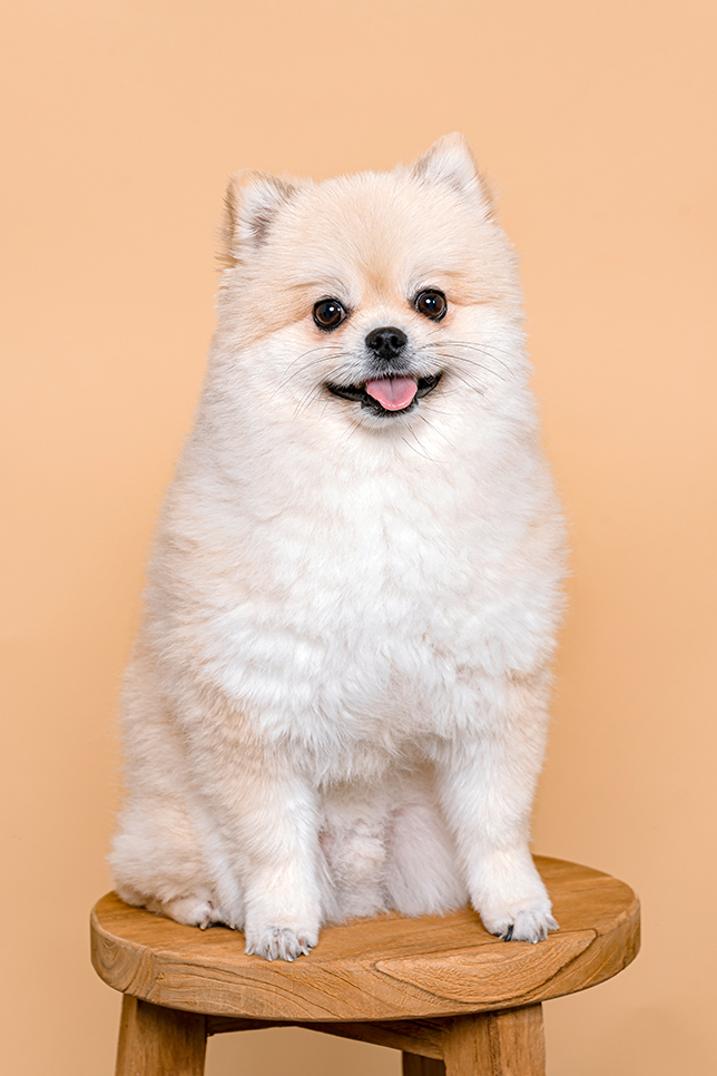 라임사진관