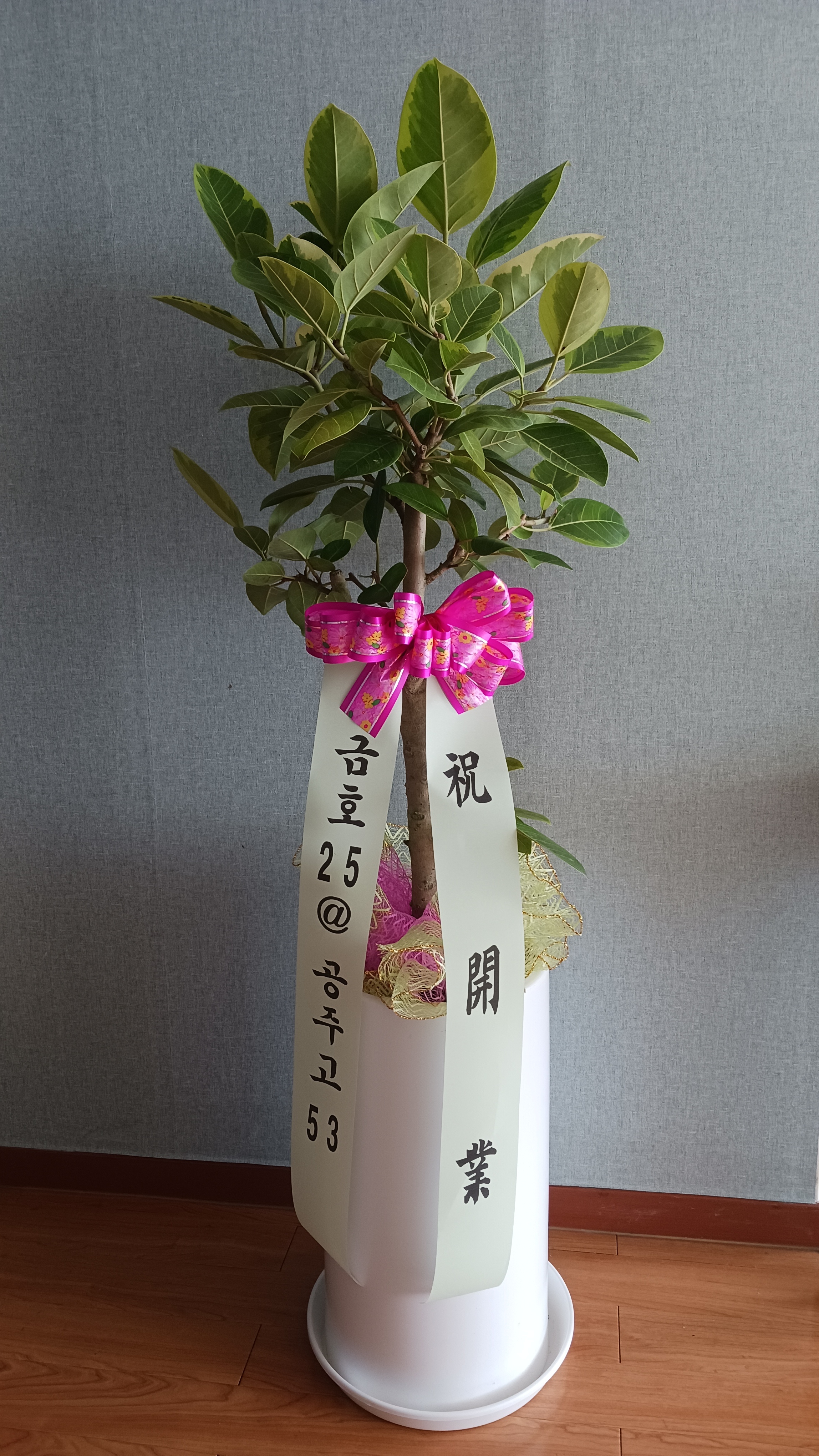 법무사김원식사무소