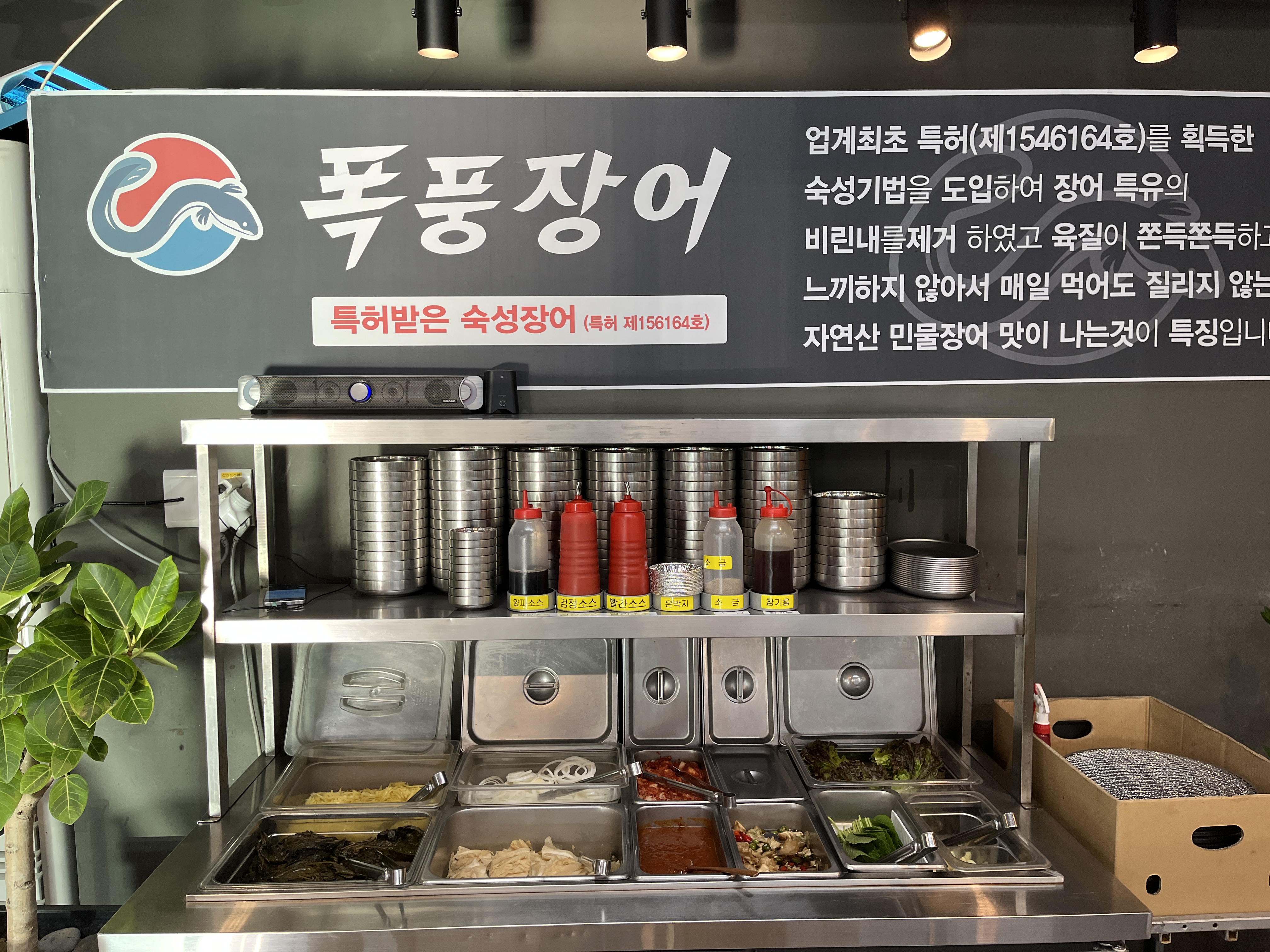 황금장어