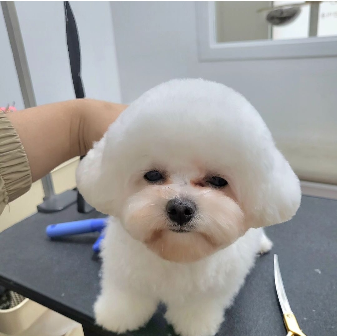 헤이라딘 대표 이미지