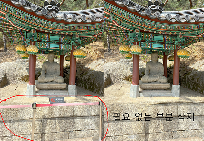 진칼라사진관