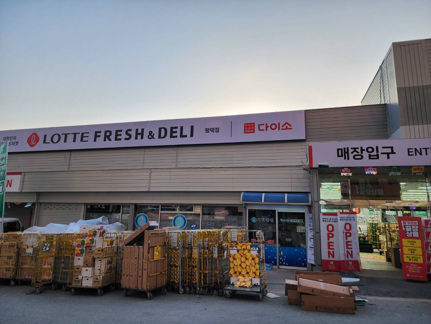 다이소 롯데프레시&델리 평택점