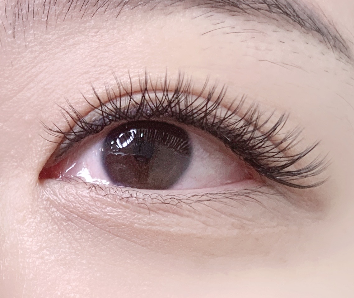 속눈썹집 대표 이미지