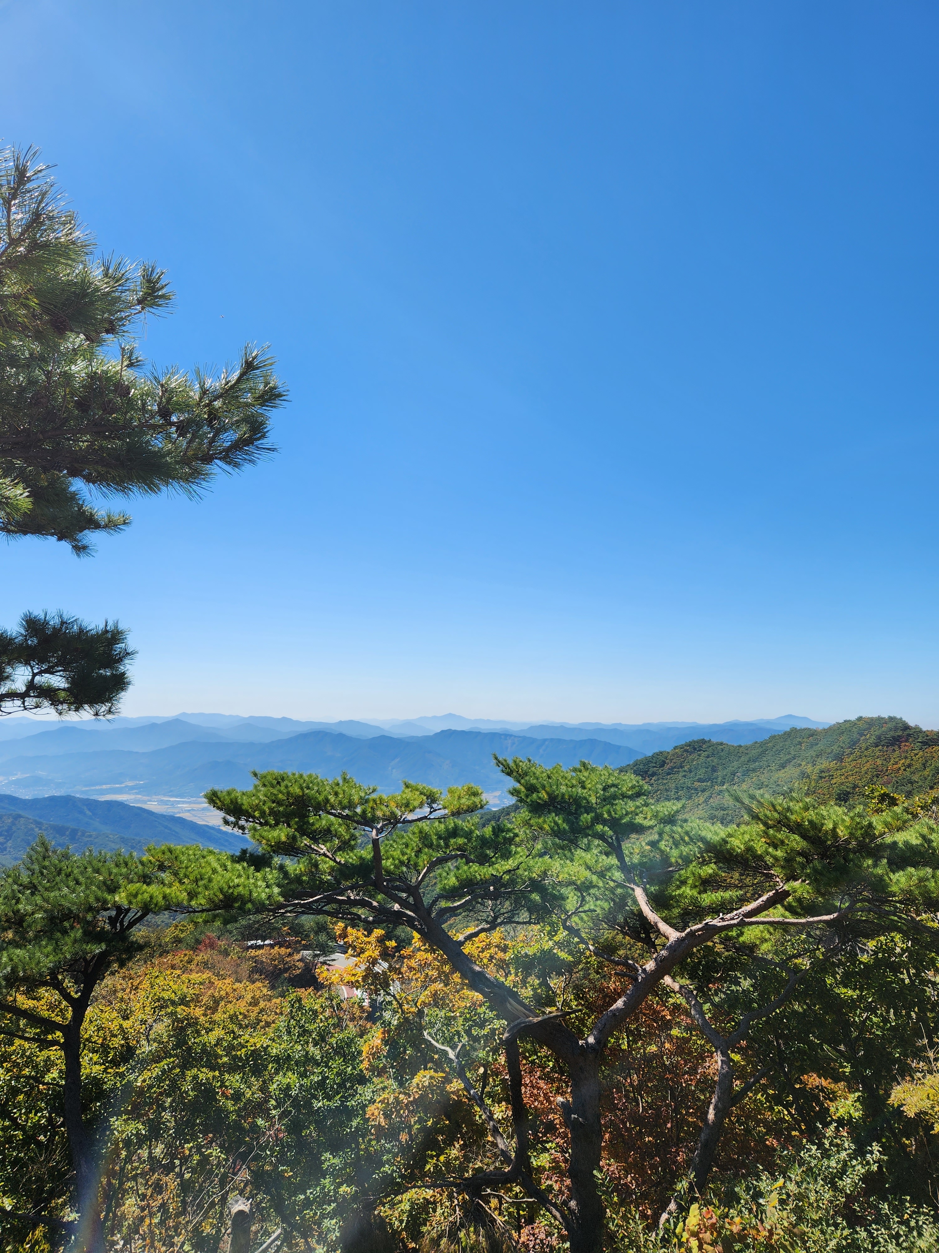 지리산시엘펜션 반려동물 동반 애견카페