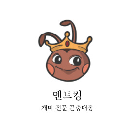 앤트킹 곤충매장
