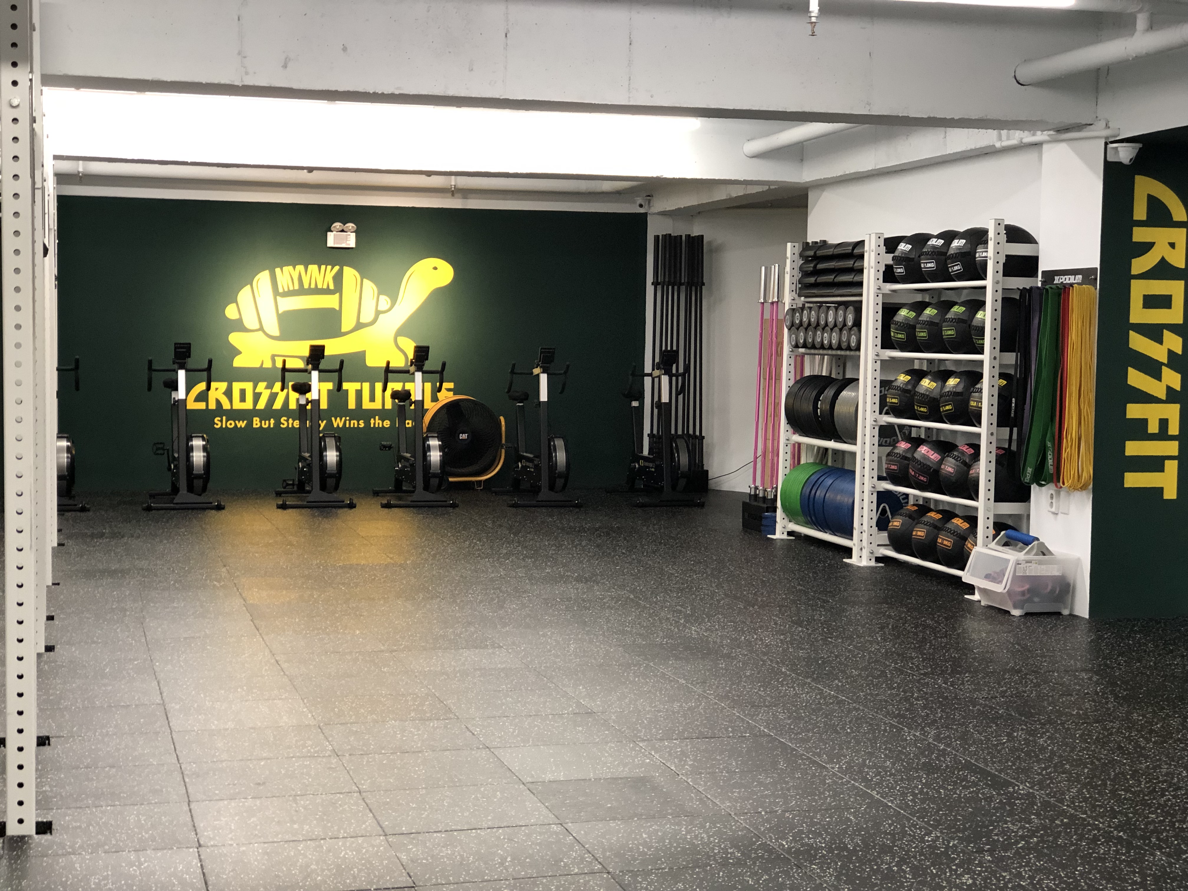 크로스핏 터틀 대표 이미지