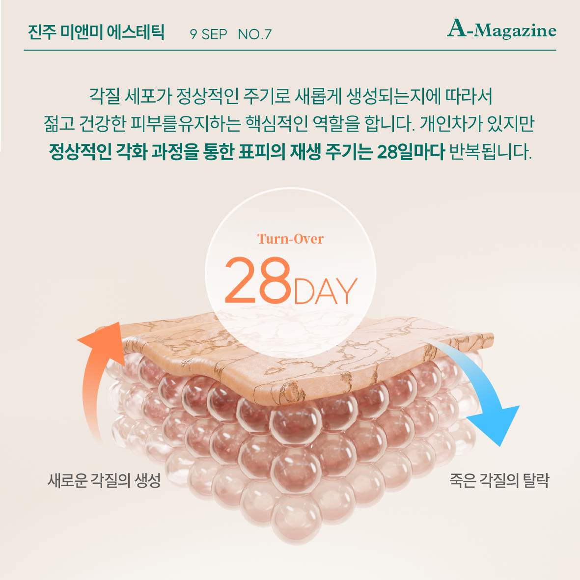 미앤미 에스테틱 진주초전점 대표 이미지
