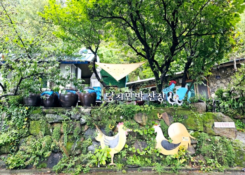 당치민박산장