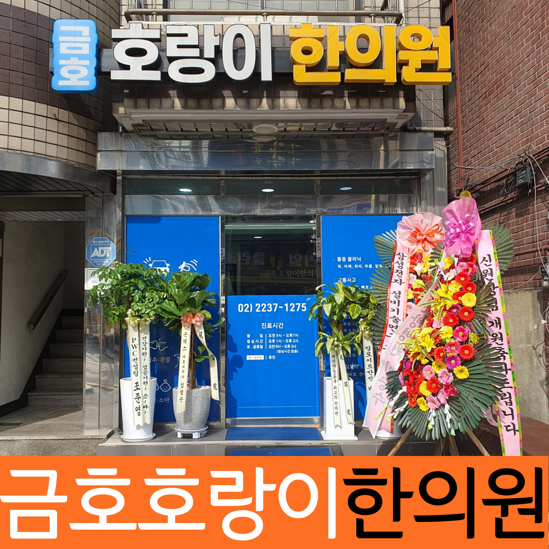 금호호랑이한의원