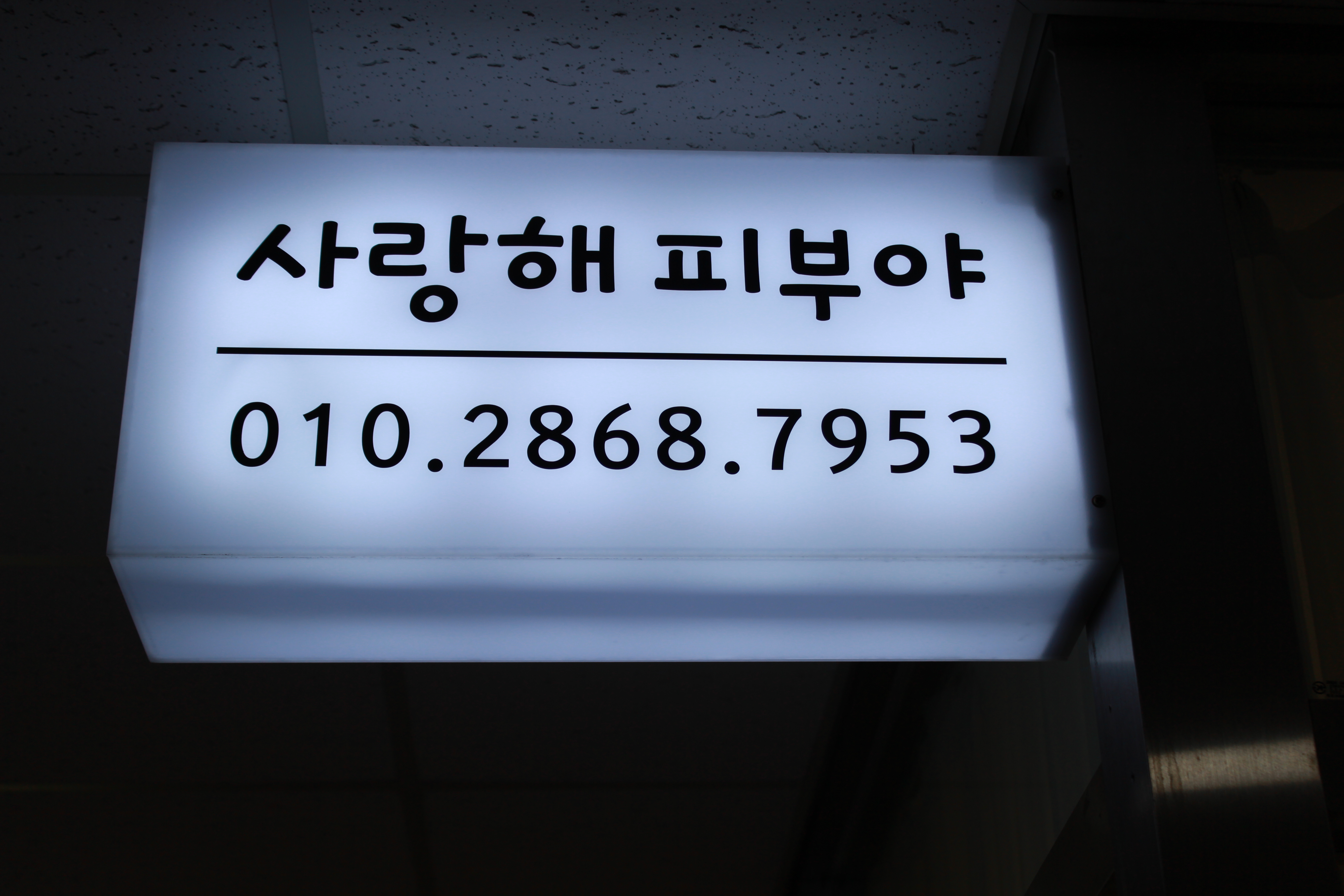 사랑해피부야