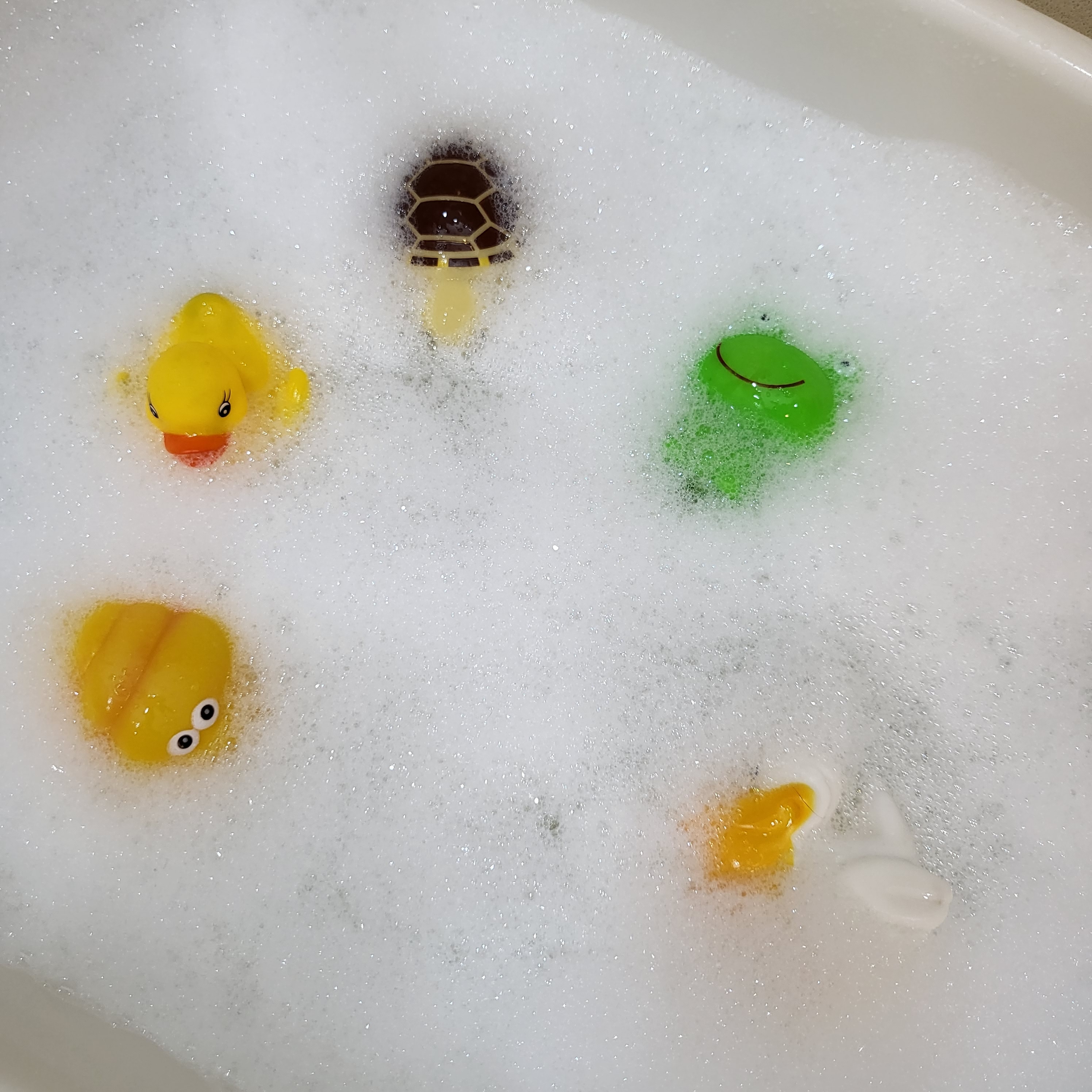 독한마캣 대표 이미지