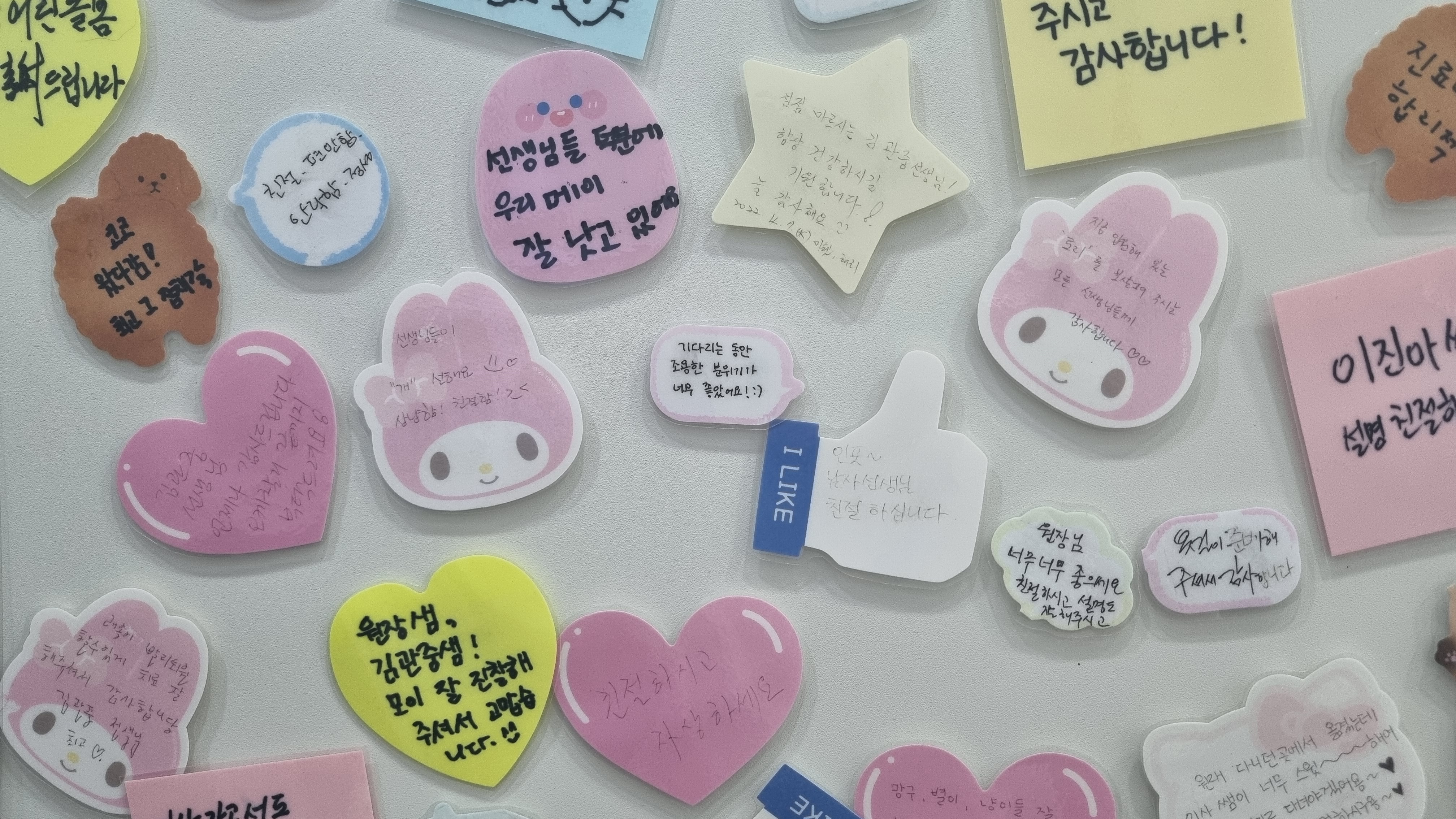 VIP동물의료센터 서초점 대표 이미지