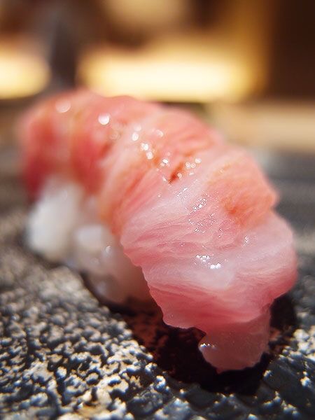 착한참치