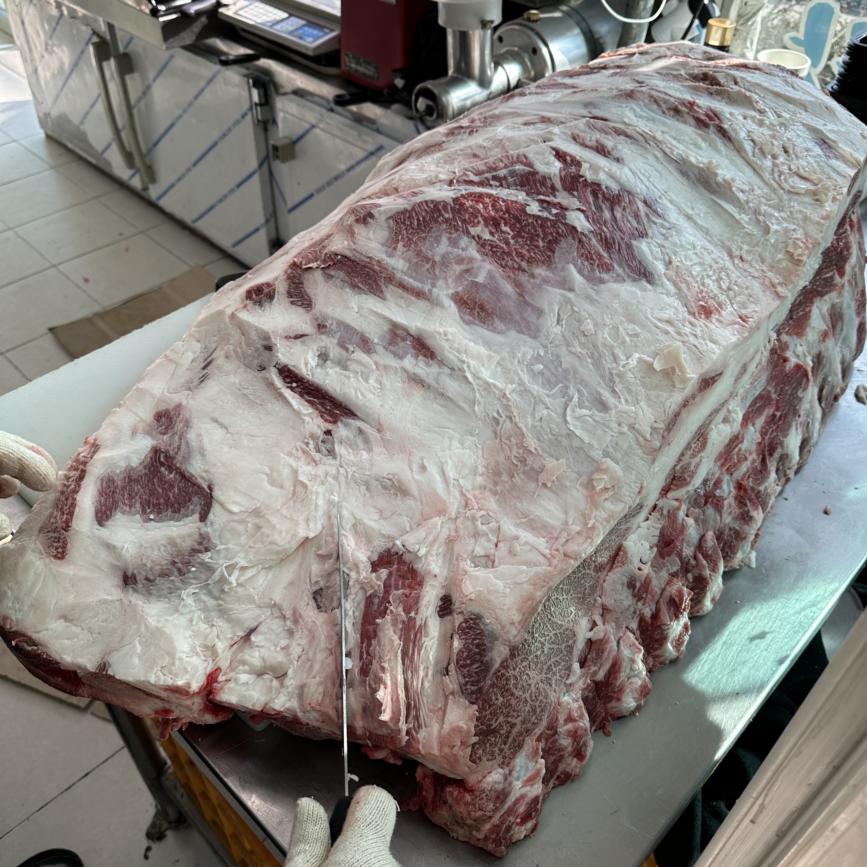 강남한우식육식당