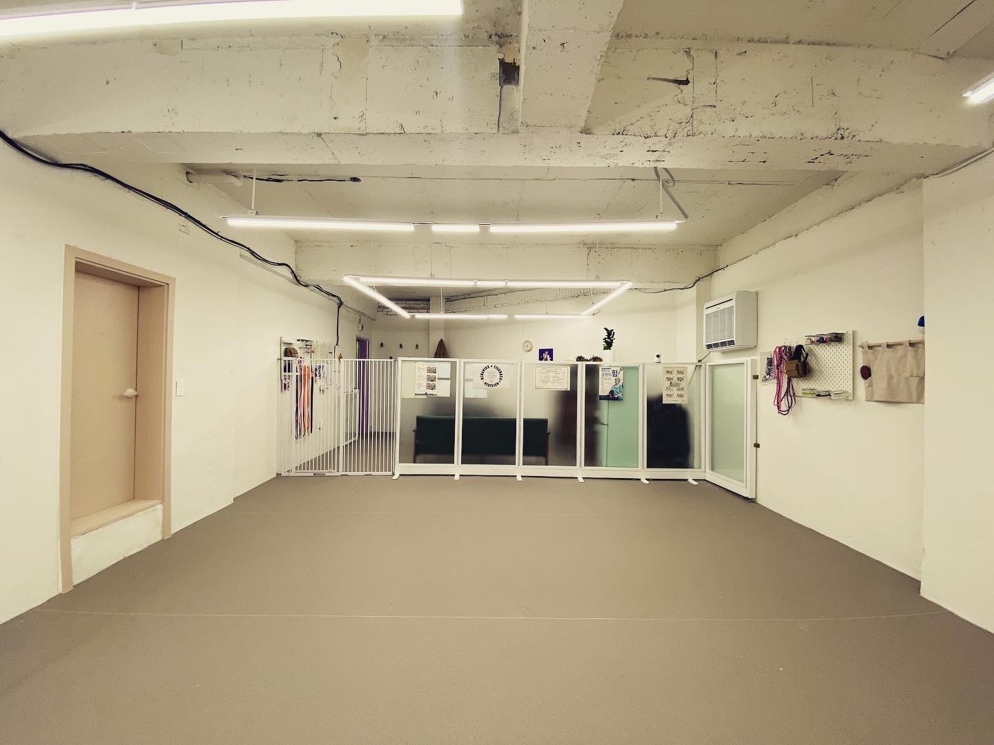 포포 데이케어 반려견유치원 애견유치원 대표 이미지