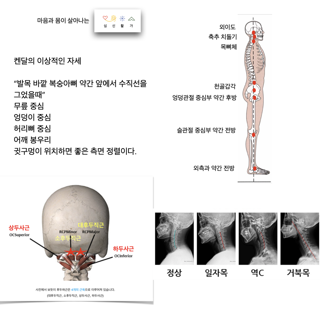 심신활가 체형교정운동센터