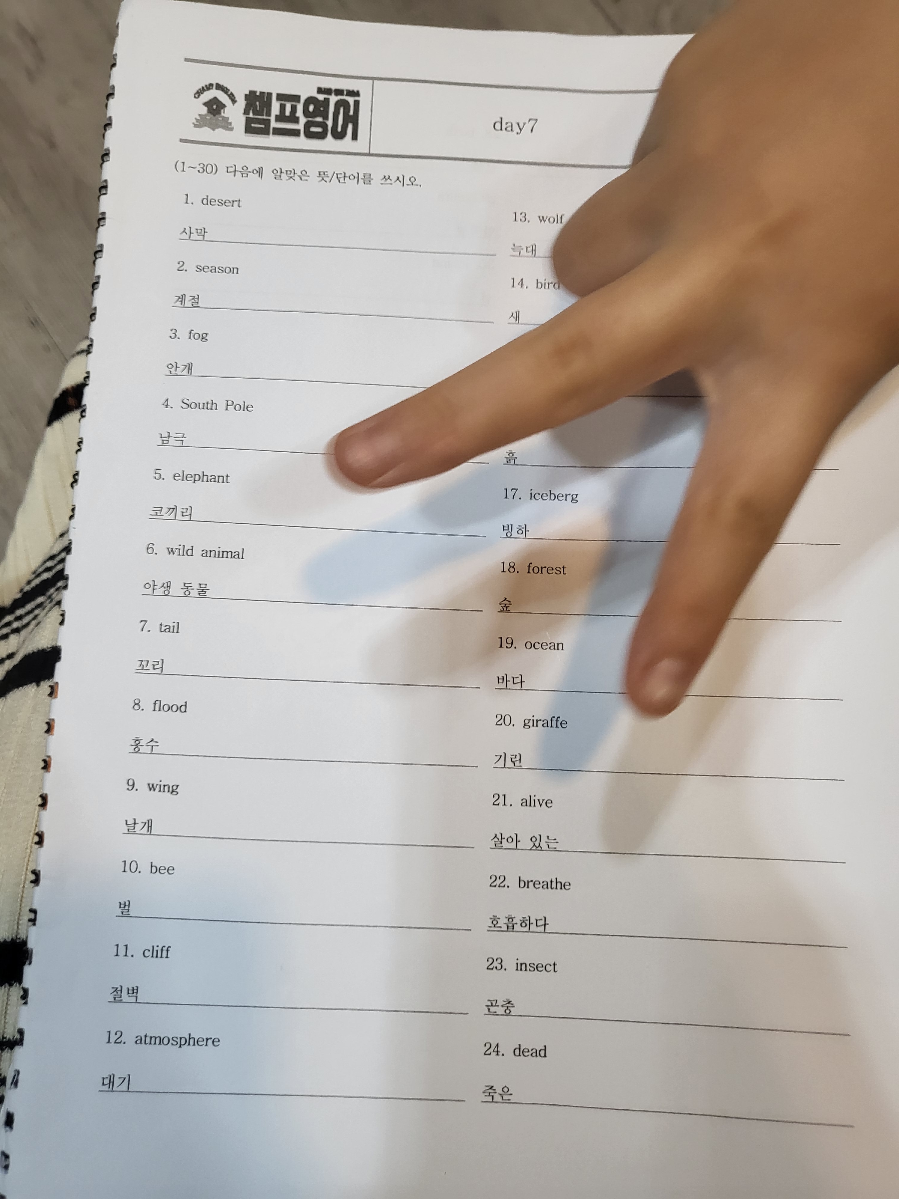 챔프 영어 교습소