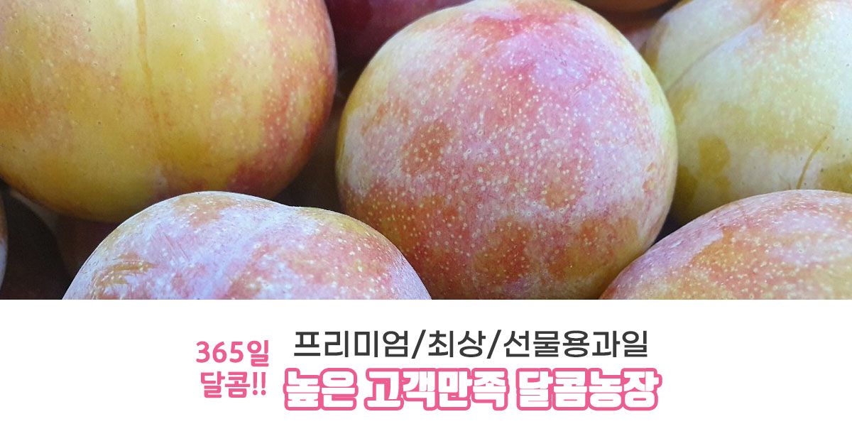 달콤농장
