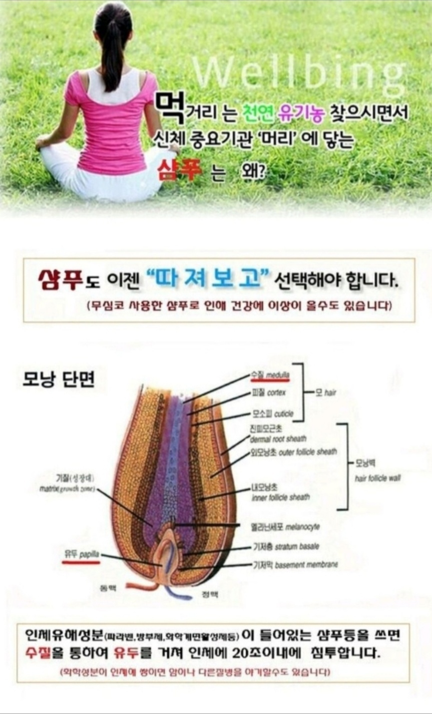 큐사랑 수지신봉점