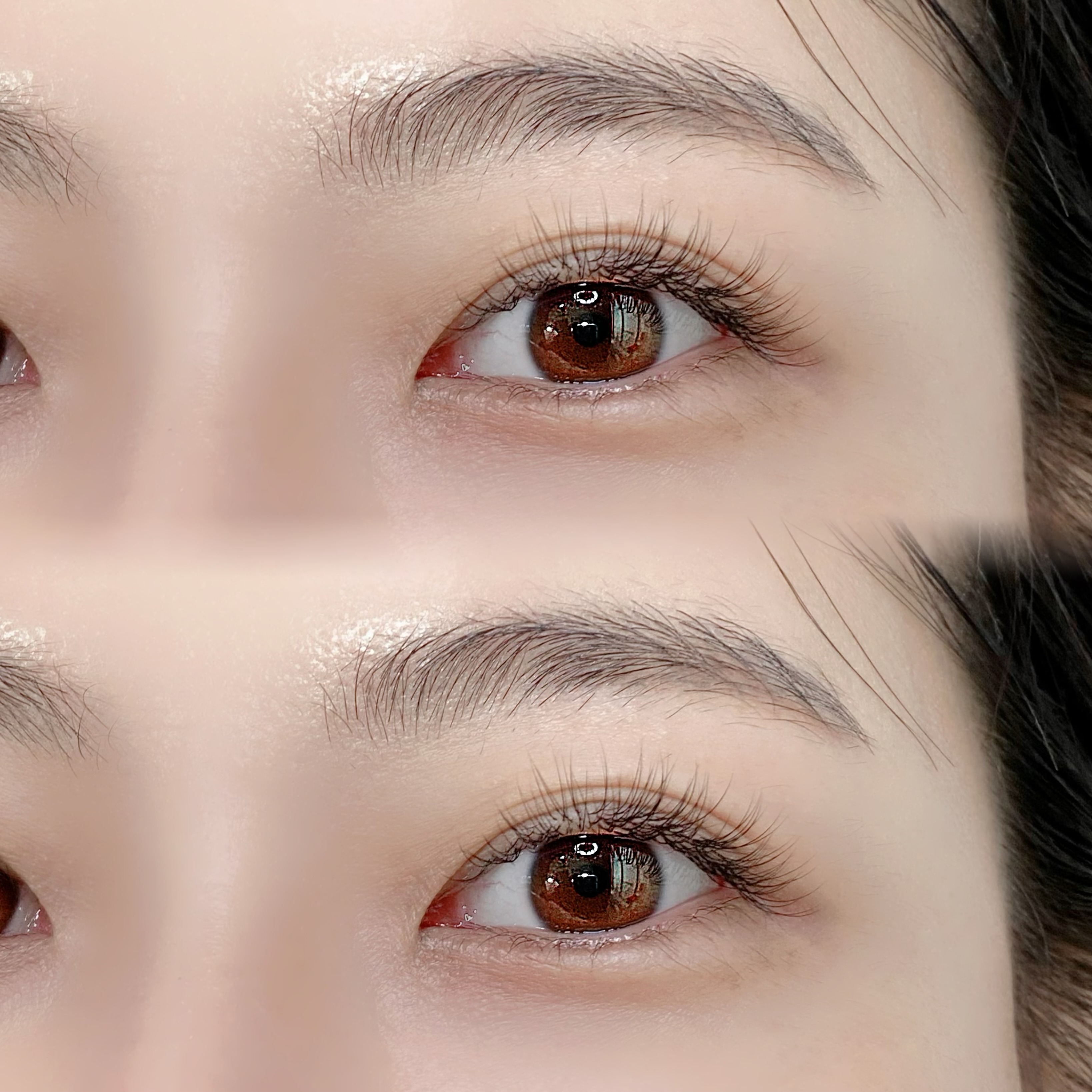 꽃누니속눈썹