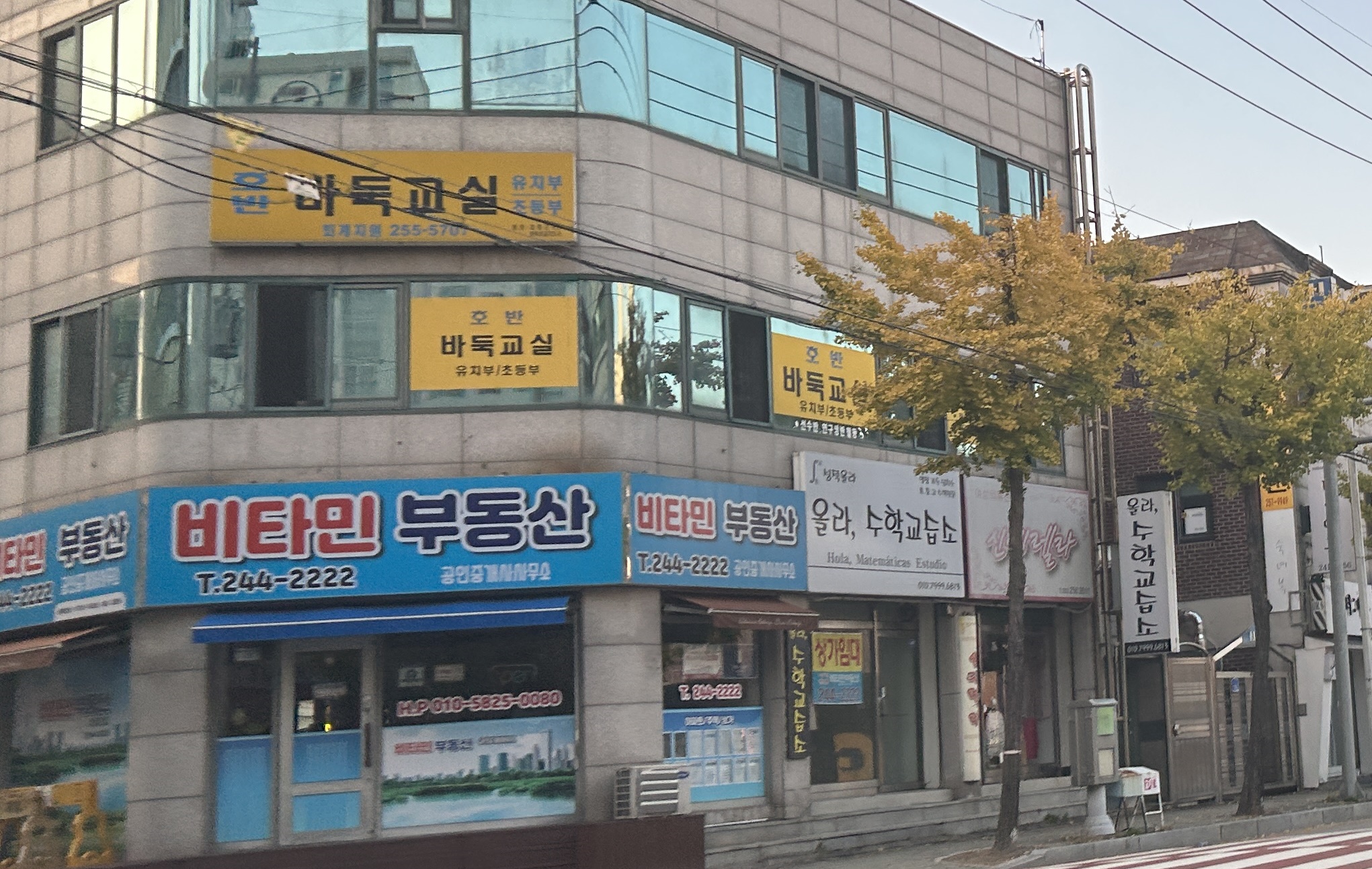 호반바둑교실